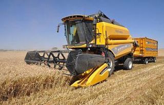 Mardin’de sulu buğdayda verim artışı çiftçiyi...