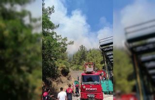 Marmaris’te orman yangını