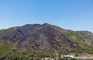 Marmaris’te yanan ormanlık alan havadan görüntülendi