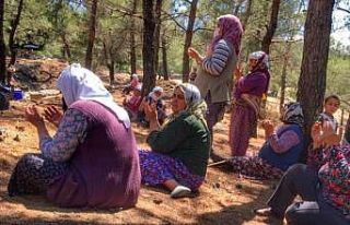 Menteşe’de köylüler yağmur duasına çıktı