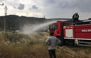 Menteşe’de yıldırım yangını