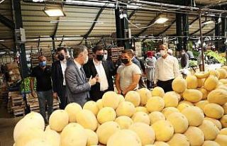 Merpa 115 kamera ile 24 saat gözetim altında