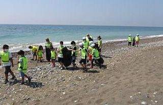 Mersin’de deniz kaplumbağaları için sahil temizliği