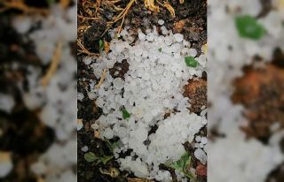 Mersin’de dolu yağışı sebze ve meyveyi vurdu