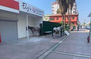 Mersin’de kısıtlamanın sessizliği nal sesleriyle...
