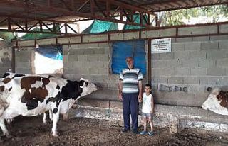 Mersin’de orman köylüsüne 8 milyon 100 bin TL...