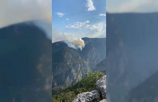 Mersin’de orman yangını