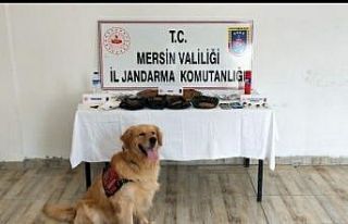 Mersin’de uyuşturucu operasyonu