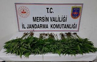 Mersin’de uyuşturucu operasyonu: 7 gözaltı