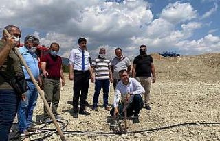 Mersin’de “Zeytin Gen Bahçesi” oluşturuldu