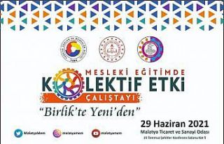 Mesleki eğitimde kolektif etki çalıştayı düzenlenecek