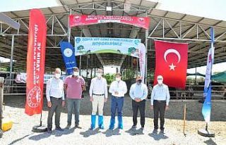 Milas’ta Dünya Süt Günü kutlandı