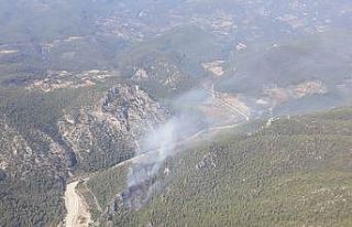 Milas’ta orman yangını