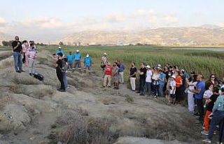 Mileyha sulak alanda temizlik çalışması