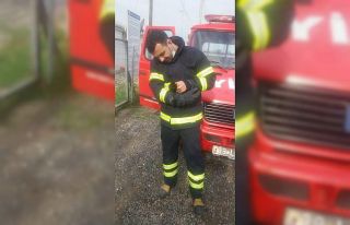 Minibüsün motor kısmına sıkışan yavru kedi...