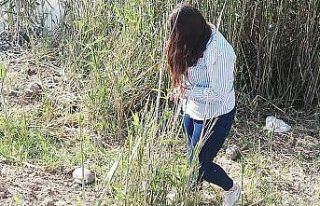 Minik kaplumbağa doğaya bırakıldı