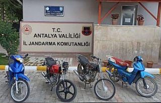Motosiklet hırsızları yakalandı