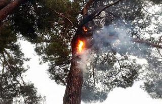 Muğla’da 12 günde 48 yıldırım yangını