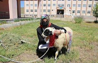 Muhtarlardan okul birincisi olan öğrenciye kuzu
