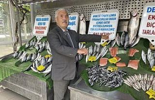 Müsilaj balık tezgahlarını etkileyecek mi?