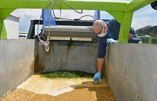 Müsilaj ekonomi için mercek altında