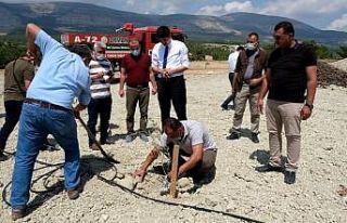 Mut’ta zeytin gen bahçesi kuruldu