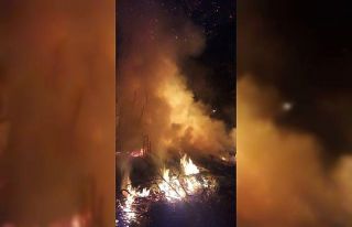 Narenciye bahçesindeki 30 ağaç yandı