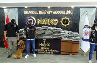 Narkotik köpeği ’Alex’ tırda 60 kiloya yakın...