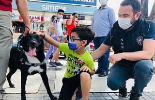 Narkotik köpeği Athena ilgi odağı oldu