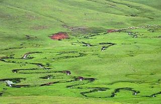 Nefesleri kesen yayla