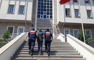Nevşehir’de aranan 5 kişi tutuklandı