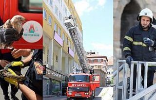 Nevşehir’de itfaiye ekipleri 1 yılda 220 hayvanı...