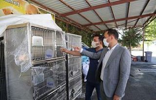 Niğde Belediyesi’nden Sokak Hayvanları İçin...