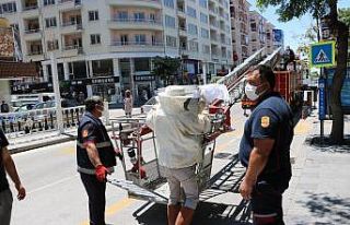 Niğde’de ’arı’ paniği