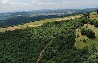 Nilüfer’e güneş enerjisi santrali...