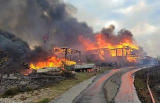 Norveç’te arazi yangını: yaklaşık 500 kişi...