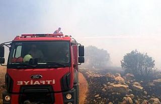 Ömerli’de ağaçlık alanda yangın çıktı, 200...