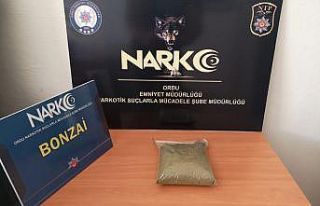 Ordu’da uyuşturucu operasyonu: 1 tutuklama
