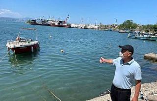 Ordu’daki ’deniz salyası’ iddialarına yalanlama