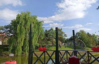 Organizasyon şirketleri kayıtsız meslektaşlarından...