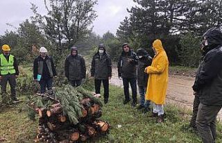 Orman muhafaza memurlarına zararlılarla mücadele...