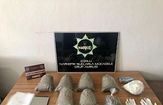 Ormanda bir çuval bonzai ele geçirildi