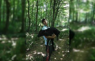 Ormanda doğan buzağıyı kucağında ahıra taşıdı