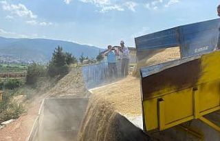 Osmaneli toptancı halinde buğday ve arpa alımları...
