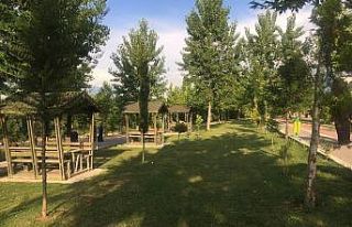 Osmaneli’ndeki parklar meyve bahçesine dönecek
