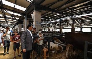 Osmangazi’de Kurban Satış ve Kesim Tesisinde kapasite...