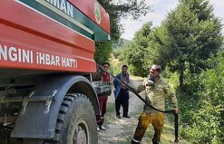 Osmaniye’de çıkan orman yangını büyümeden...