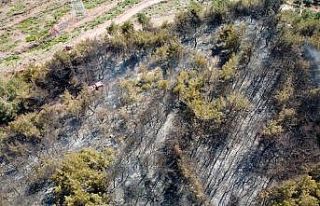 Osmaniye’de çıkan orman yangını evlere sıçramadan...
