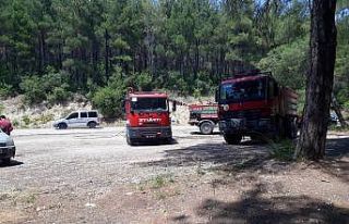 Osmaniye’de orman yangını