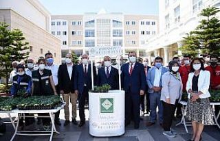 Osmaniye’de vatandaşlara 400 bin adet fide desteği